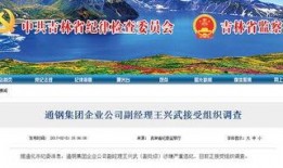 通化爆料最新消息,揭秘事件背后真相
