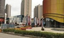 任时完最新动态爆料,揭秘明星私生活与事业新动向